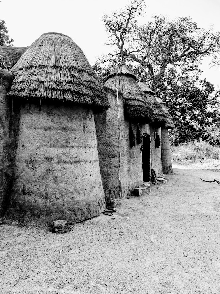 Le Parc National de la Pendjari : safari en Afrique de l'Ouest